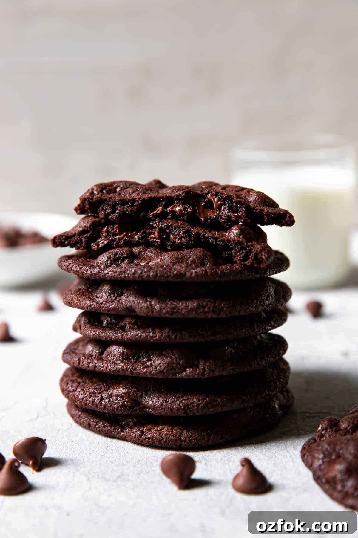 Double Chocolate Cookie Recipe: Rich, Chewy & Decadent 9 chocolate cookies.