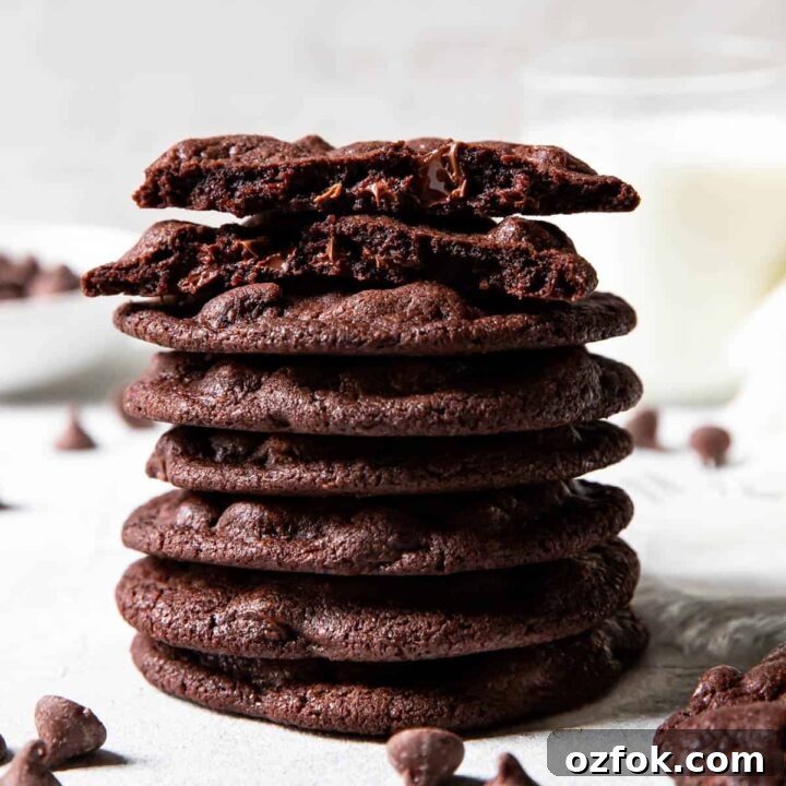 stack of chocolate cookies.