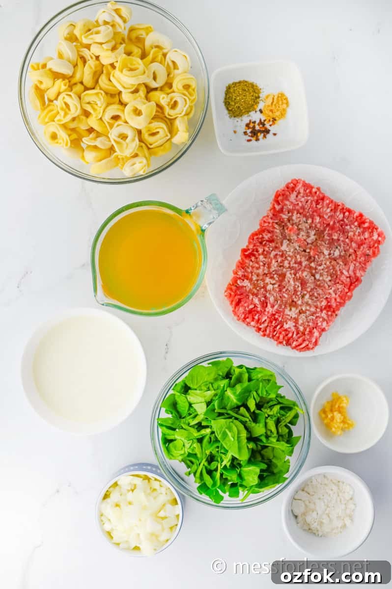 Italian Sausage Tortellini Soup: Hearty Weeknight Recipe 3 ingredients for Italian Sausage Tortellini Soup Recipe