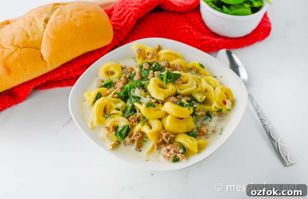 Italian Sausage Tortellini Soup: Hearty Weeknight Recipe 6 bowl of soup