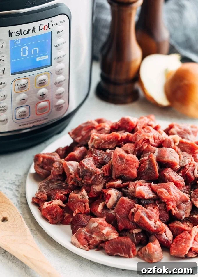 Texas-Style Instant Pot Chili Recipe: Quick, Hearty Weeknight Meal 3 beef chuck cubes in front of the Instant Pot for Texas Red Chili