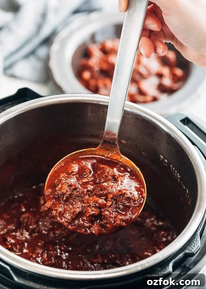 Texas-Style Instant Pot Chili Recipe: Quick, Hearty Weeknight Meal 4 Ladle of Texas Chile con Carne from an Instant Pot