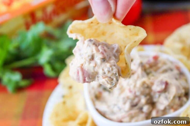 Image for Sausage Cheese Dip