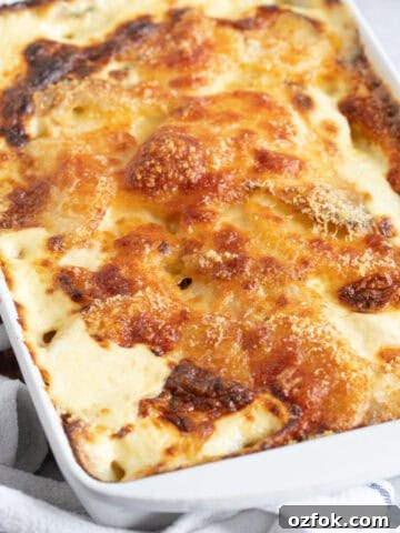 gratin dauphinoise