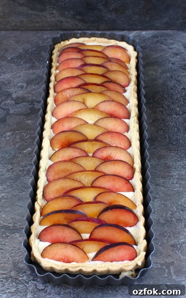 Finished tart in the tart tin