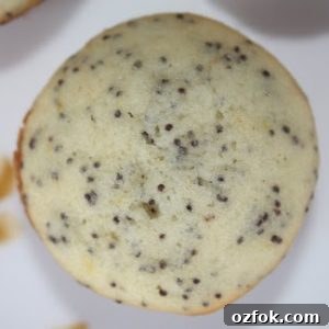 Pint-size lemon poppy seed muffins