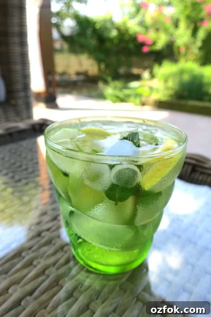 6 easy sugar free fruit drinks in 1 minute