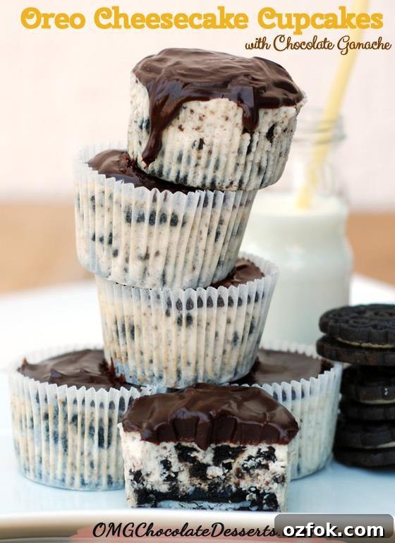 Oreo Cheesecake Cupcakes with Chocolate Ganache