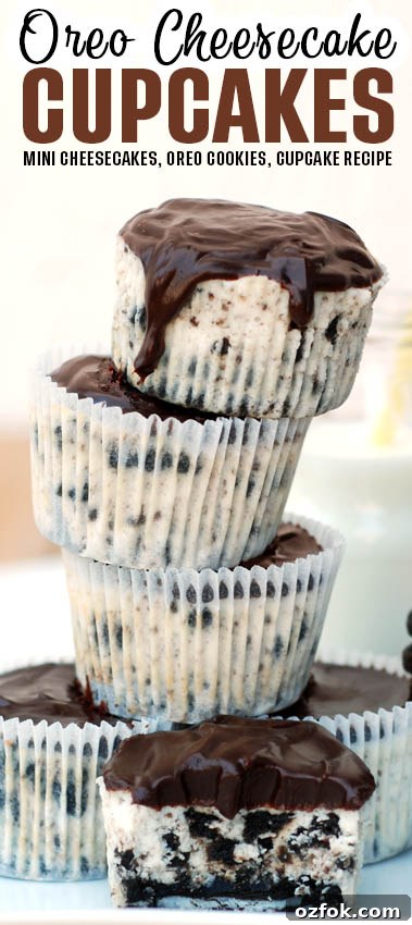 A mouthwatering dessert with soft and creamy cheesecake and a crushed Oreo layer on the bottom.
