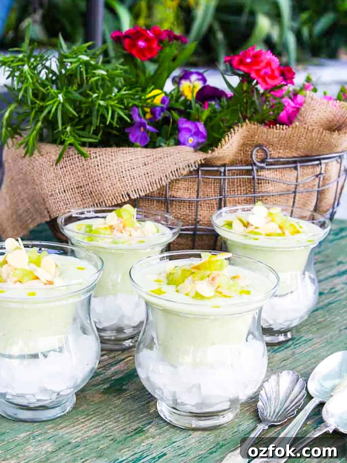 Serving iced white gazpacho soup