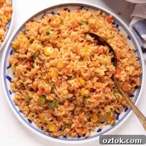 Picture of chilli garlic fried rice served on a white and blue plate