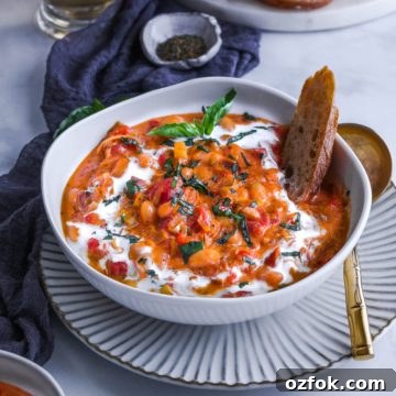 Duo Bean Tomato Basil Soup