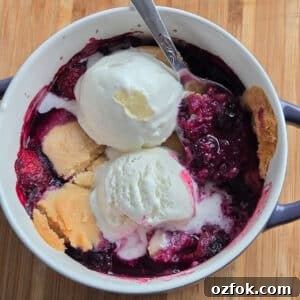 Close-up overhead shot of a two-ingredient berry cobbler in a small white dish with handles, topped with two scoops of melting vanilla ice cream and a spoon resting inside