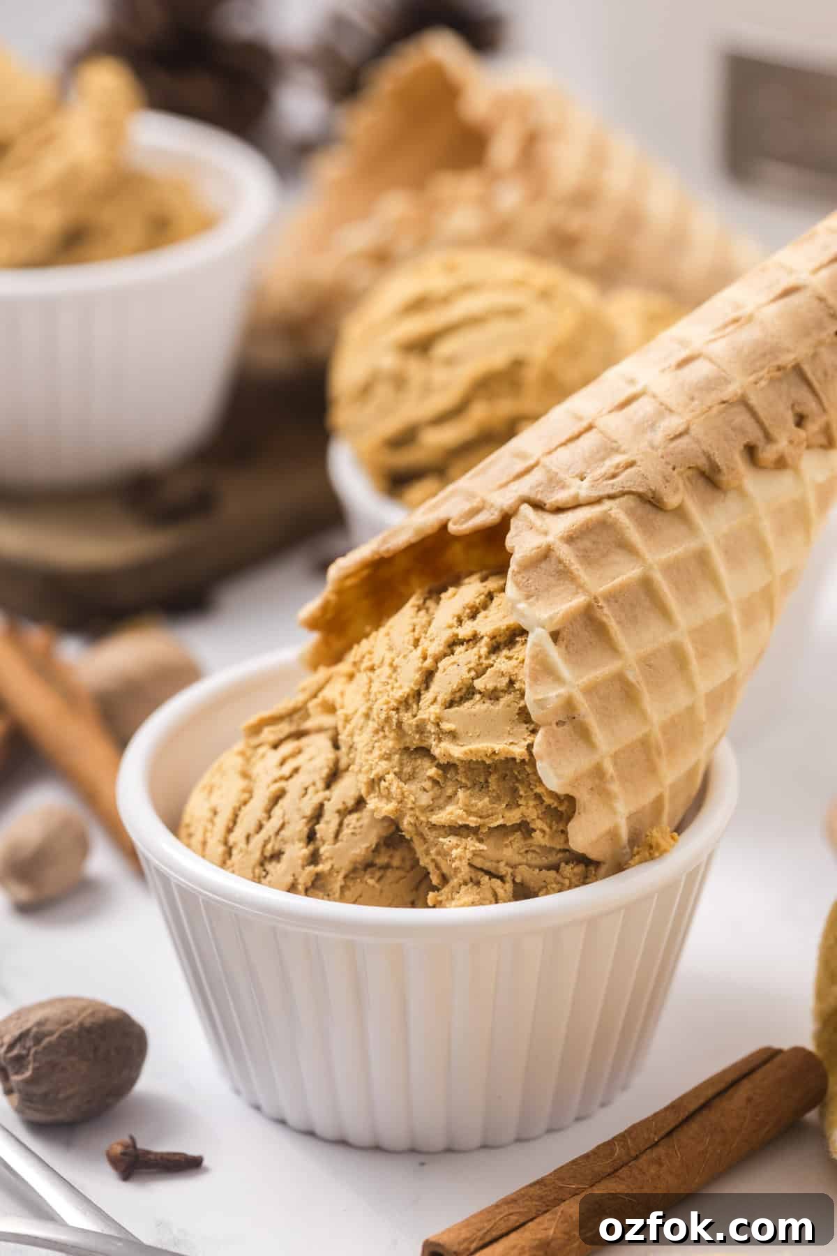 Ice cream in a white dish topped with a cone.