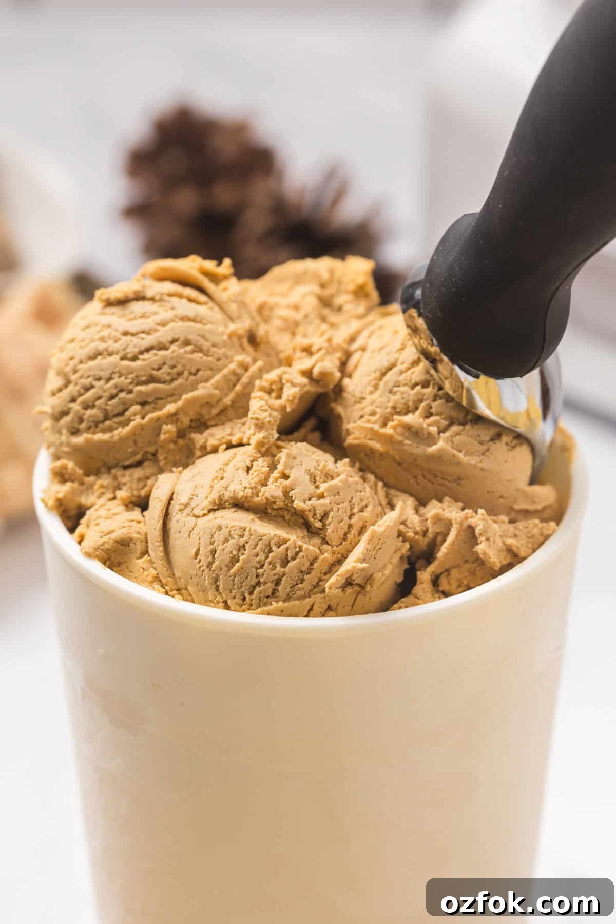 Scoops of ice cream in a container, with a black ice cream scoop.