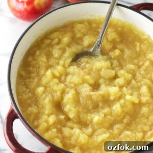 A pot of unsweetened applesauce with a serving spoon.